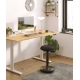 iCare Flexispot