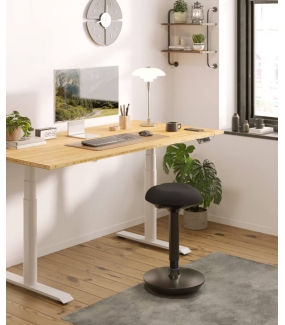 iCare Flexispot