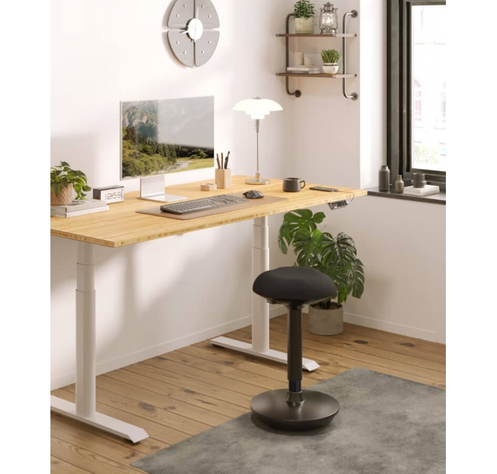 iCare Flexispot