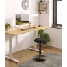 iCare Flexispot